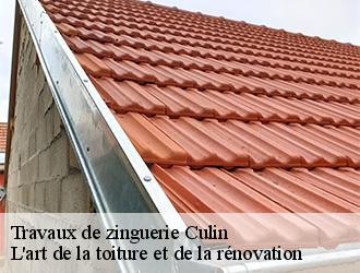 Travaux de zinguerie culin-38300 L'art de la toiture et de la rénovation