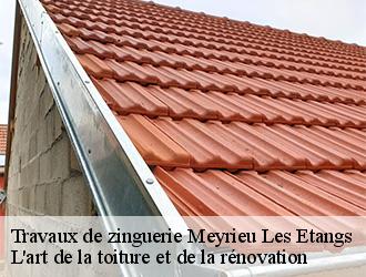 Travaux de zinguerie  meyrieu-les-etangs-38440 L'art de la toiture et de la rénovation