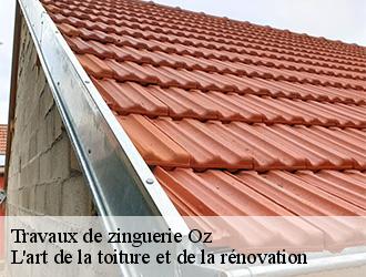 Travaux de zinguerie  oz-38114 L'art de la toiture et de la rénovation