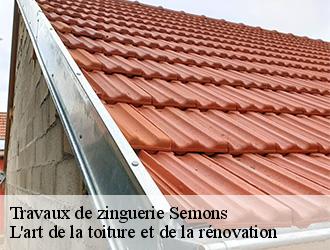 Travaux de zinguerie  semons-38260 L'art de la toiture et de la rénovation